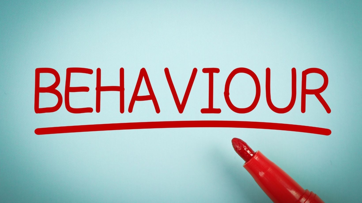 Behavior interventional support NDIS