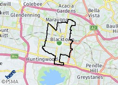 NDIS-Provider-In-Blacktown.png